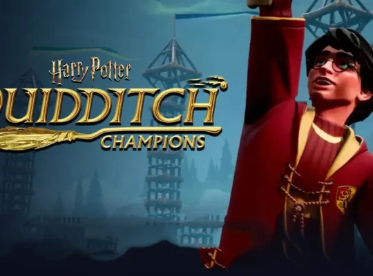 Harry Potter Quidditch Champions